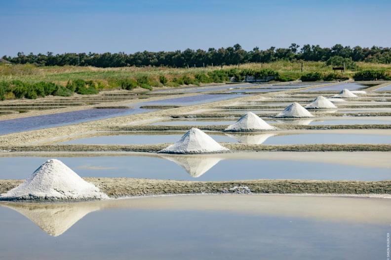 Le Parc Des Mimosas Noirmoutier-en-l'Ile