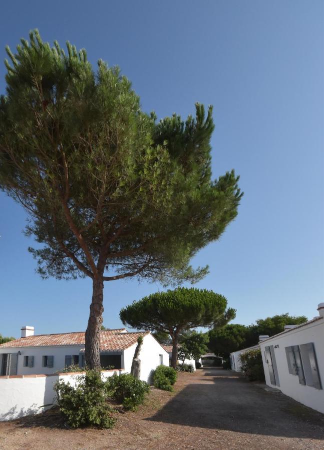 Maisons Parc Des Mimosas Hébergement de vacances